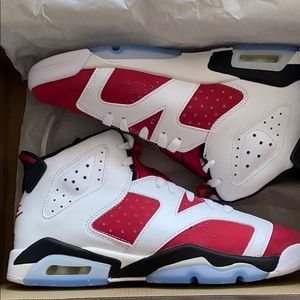 Air Jordan retro Carmine 6s (2021)